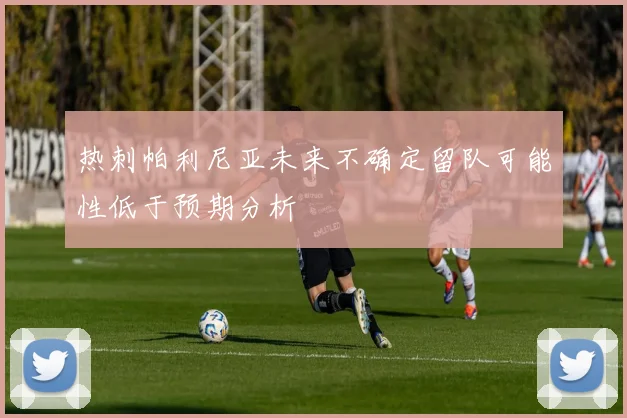 热刺帕利尼亚未来不确定留队可能性低于预期分析