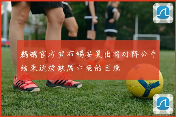 鹈鹕官方宣布锡安复出将对阵公牛结束连续缺席六场的困境