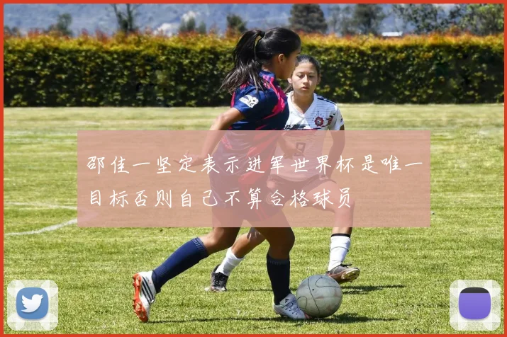邵佳一坚定表示进军世界杯是唯一目标否则自己不算合格球员