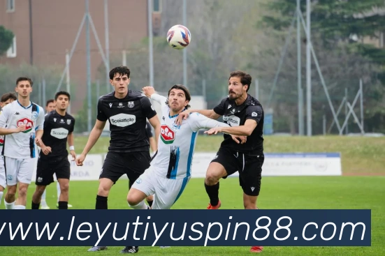 乐鱼体育平台生态图